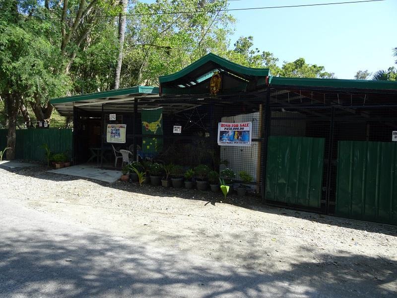 Happy Buddha Inn Puerto Galera Kültér fotó